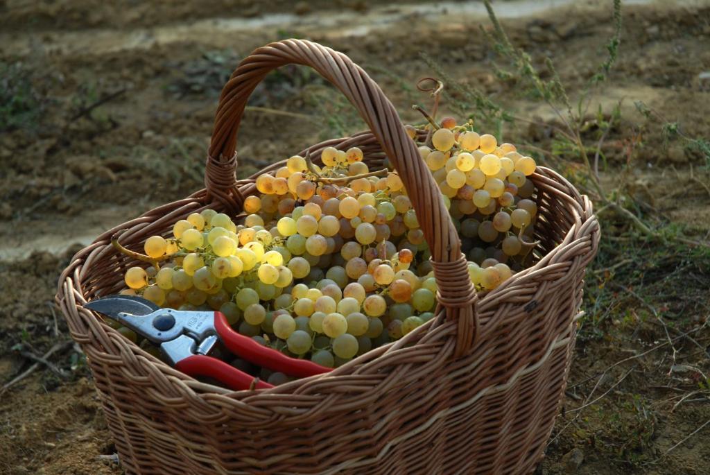 B&B Il Poggio Di Гави Экстерьер фото
